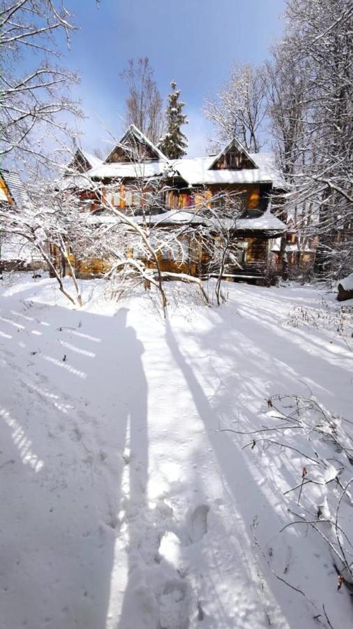 Willa Wiosna Zakopane Esterno foto